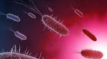 animation company plymouth